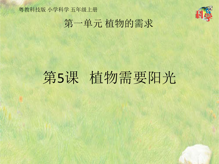 《植物需要阳光》实用课件粤教版小学12.pptx_第1页