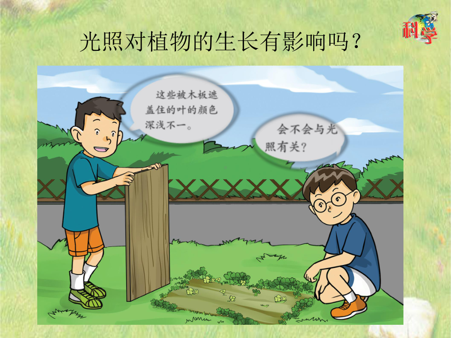 《植物需要阳光》实用课件粤教版小学12.pptx_第2页