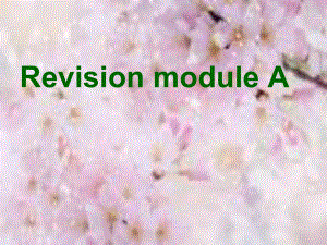 外研版九年级上册英语Revision-module-A参考课件.ppt--（课件中不含音视频）