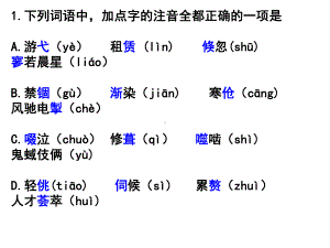 高中语文基础天天练课件.ppt