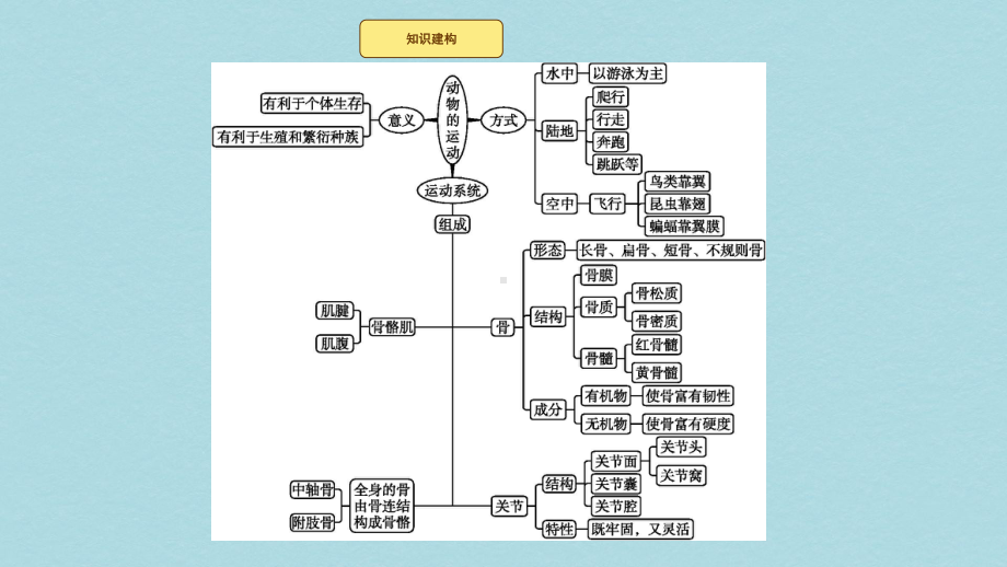 八年级生物上册第15章动物的运动整合课件新版北师大版.pptx_第2页