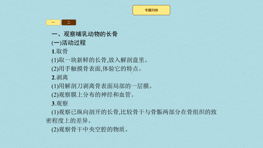 八年级生物上册第15章动物的运动整合课件新版北师大版.pptx_第3页