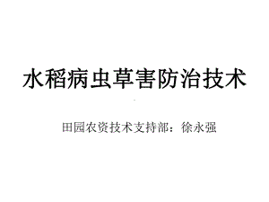 水稻病虫草害简介卷叶虫及其防治技术课件.ppt