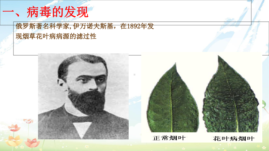 人教版初中八年级生物上册病毒课件(同名2459).ppt_第2页