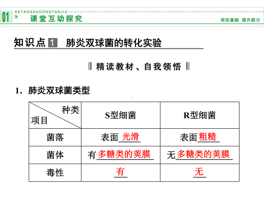 新课标人教版生物必修二：31DNA是主要的遗传物质课件.ppt_第3页