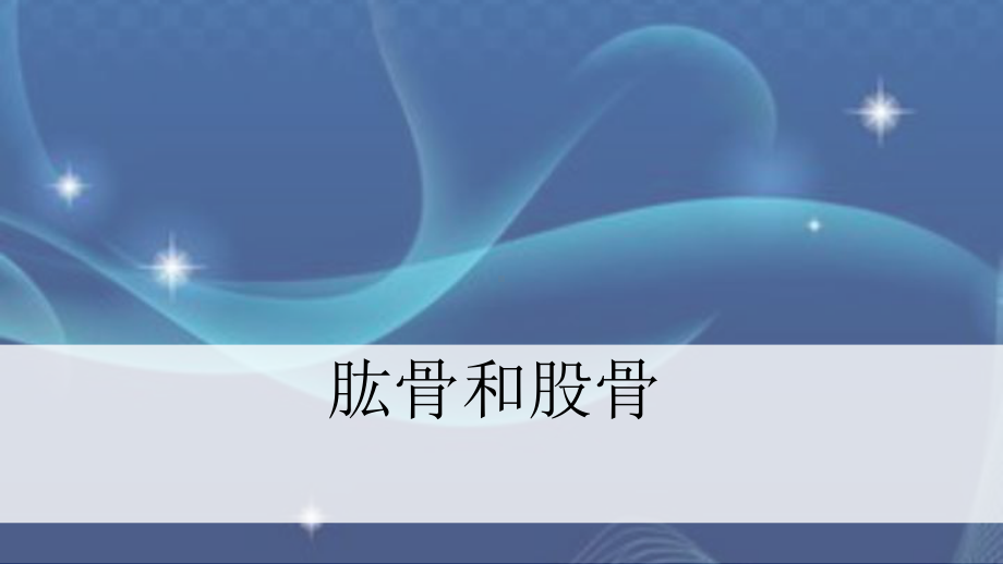 《肱骨和股骨》教学课件.ppt_第1页