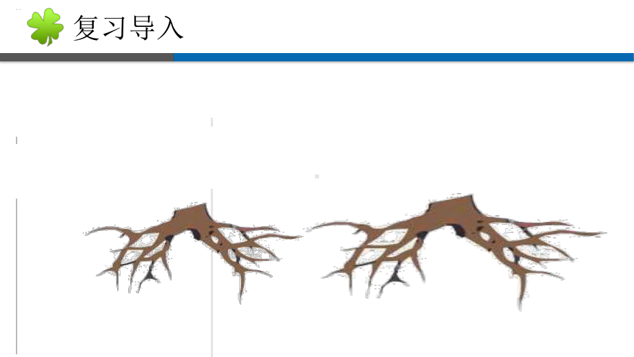 《肱骨和股骨》教学课件.ppt_第2页