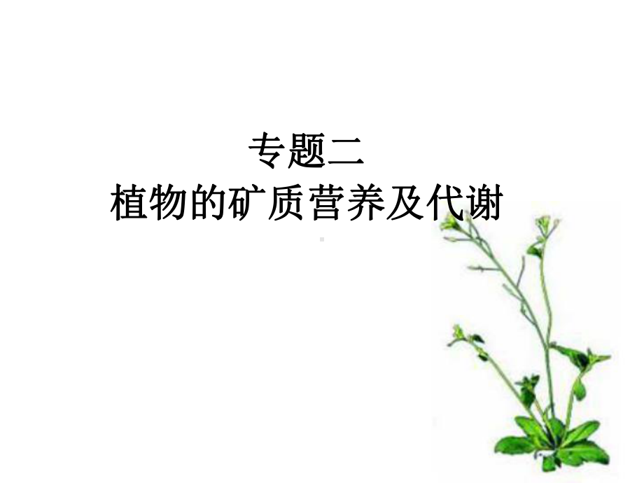 高级植物生理学—专题二课件.ppt_第1页