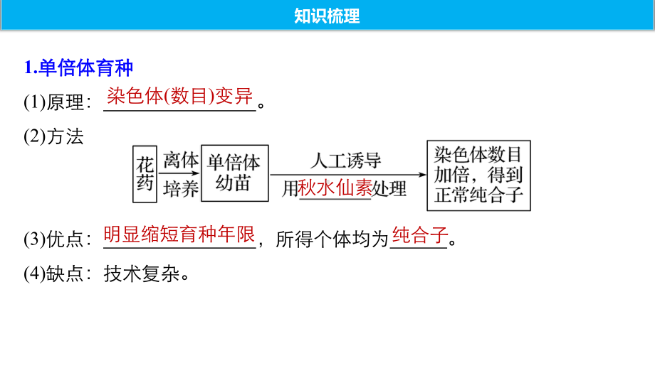 高中生物必修二育种与人类遗传病期末复习课件.pptx_第2页