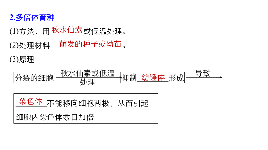 高中生物必修二育种与人类遗传病期末复习课件.pptx_第3页