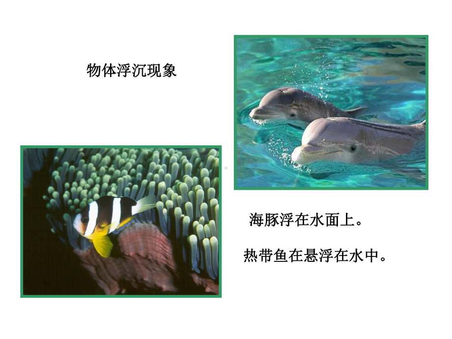 沪科版93物体的浮与沉课件.ppt_第3页