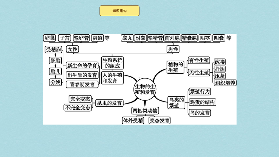 八年级生物上册第19章生物的生殖和发育整合课件新版北师大版.pptx_第2页