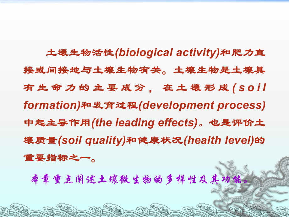 土壤生物PP课件.ppt_第2页