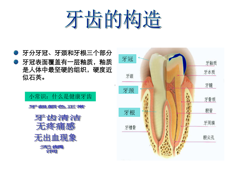 世界卫生组织制定的口腔健康标准是牙齿清洁.ppt_第3页