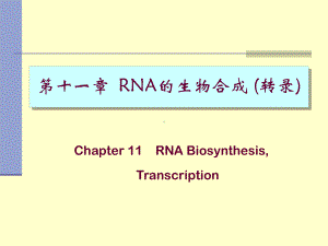 RNA的生物合成11Transcription课件.ppt