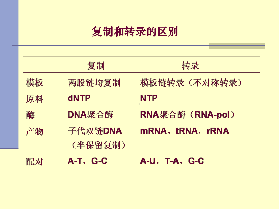 RNA的生物合成11Transcription课件.ppt_第3页