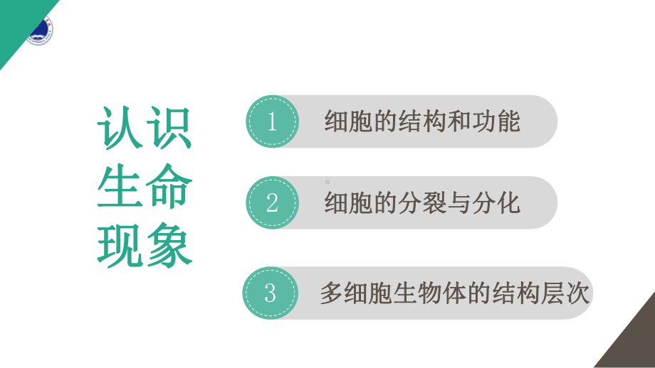 七年级上册生物第二章观察生物结构精讲课件.pptx_第2页