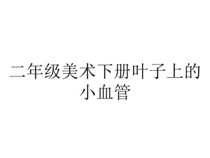 二年级美术下册叶子上的小血管.pptx