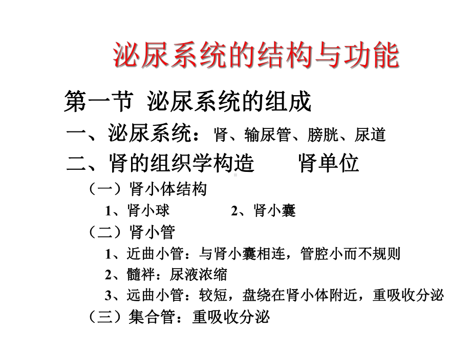 解剖生理学：泌尿系统的结构与功能课件.ppt_第1页