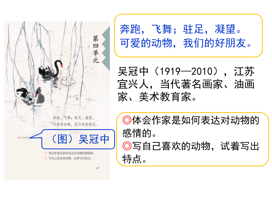 部编四下语文第13课《猫》2021版课件.pptx_第1页