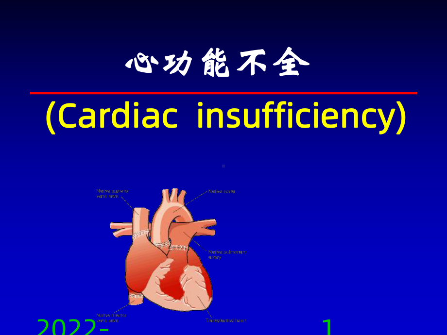 《心功能不全》课件2.ppt_第1页