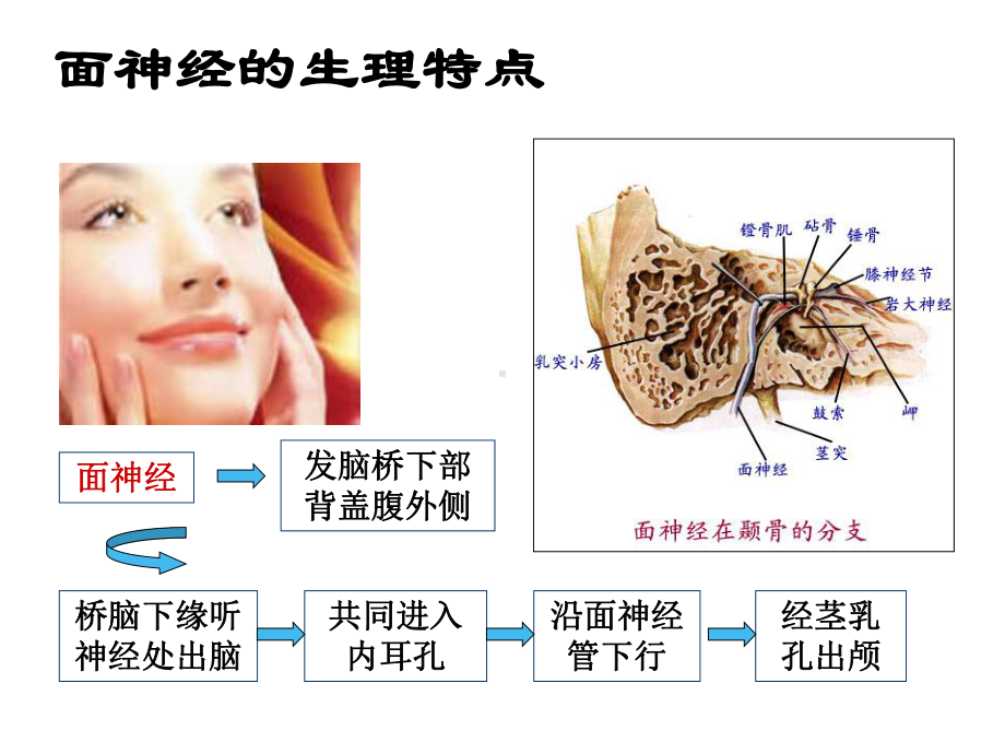 面神经炎中医治疗常用课件.ppt_第3页