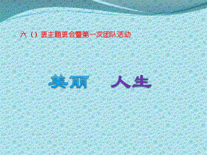 小学高年级主题班会课件美丽人生(共24张)全国通用.ppt