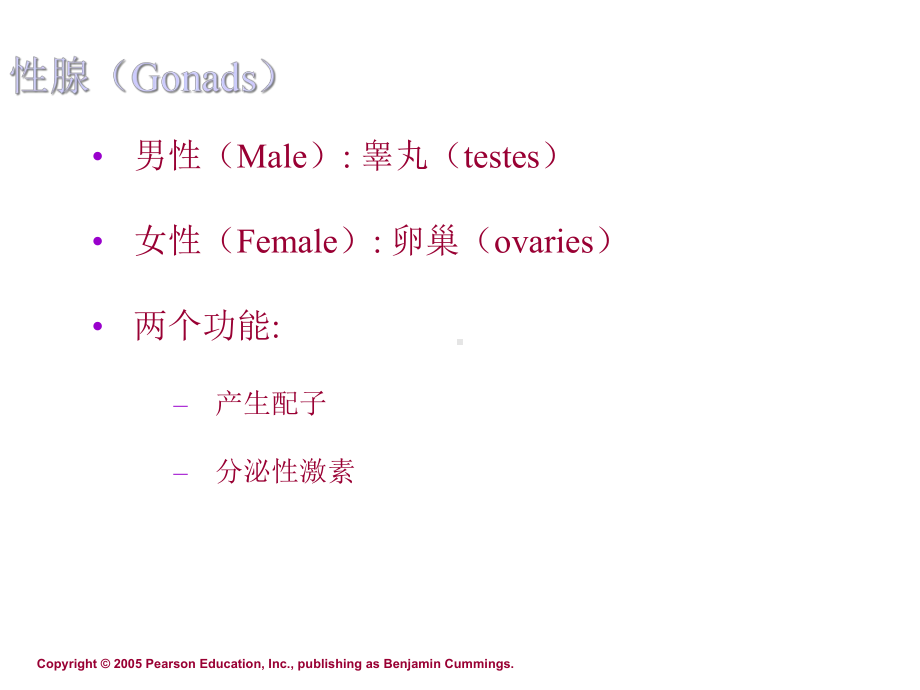 医学生理学生殖.ppt_第3页