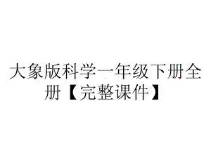 大象版科学一年级下册全册（完整课件）.ppt