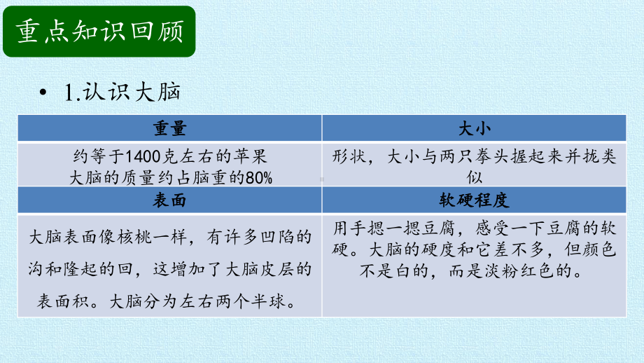 五下第5单元人体的“司令部”复习课件教学课件苏教版小学科学五年级下册.pptx_第3页