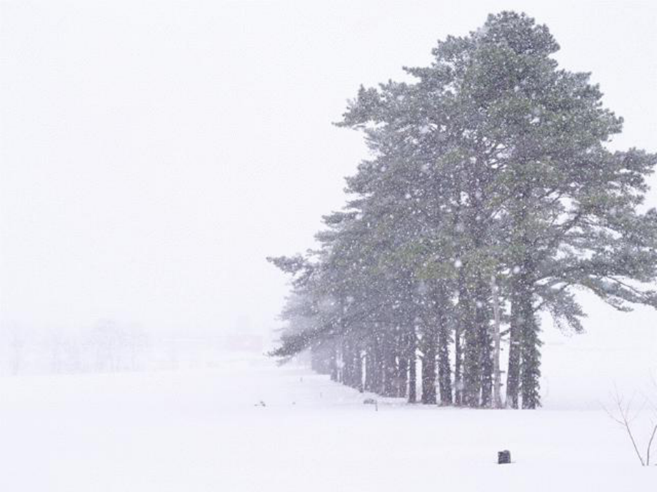 《沁园春雪》课件(25张)3.ppt_第3页