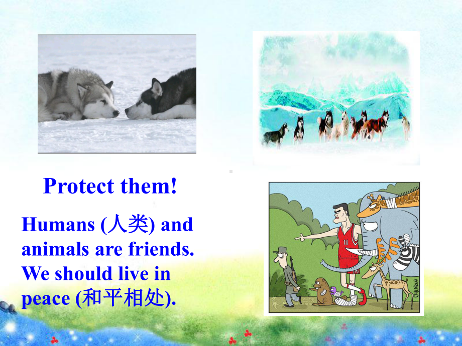 新外研版八年级英语上册配套课件：Module6AnimalsindangerUnit1公开课获奖课件.ppt（无音视频素材）_第3页