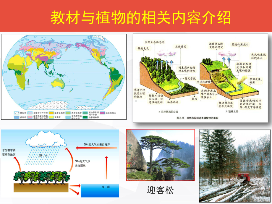 高中地理专题复习植被与自然环境定稿(共36张PPT).ppt_第3页