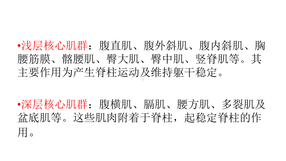 核心肌群的功能及训练方式课件.ppt_第3页