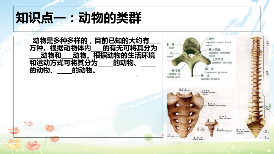 人教版初中八年级生物上册第一章第四节鱼课件(同名2461).ppt_第2页