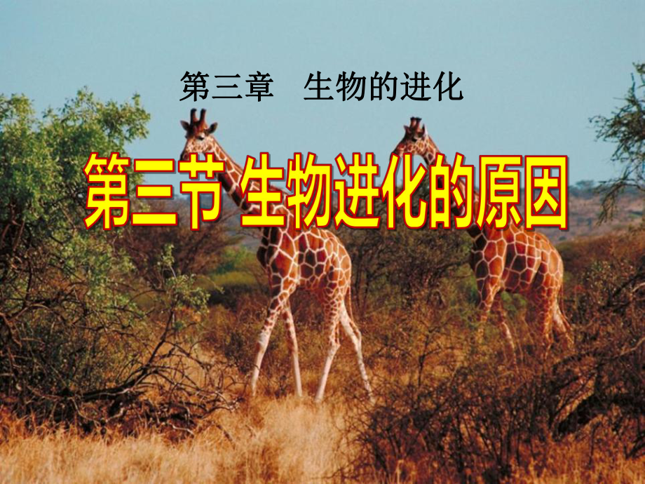 人教版八年级下册生物第三节生物进化的原因优秀课件(同名2172).ppt_第1页