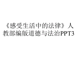 《感受生活中的法律》人教部编版道德与法治PPT3.pptx