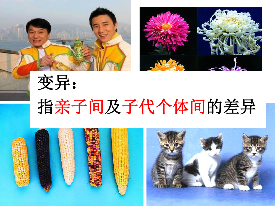 人教版八年级下册生物第五节--生物的变异优秀课件.ppt_第2页