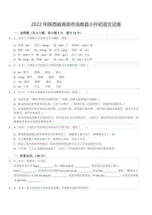 2022年陕西省商洛市洛南县小升初语文试卷.docx