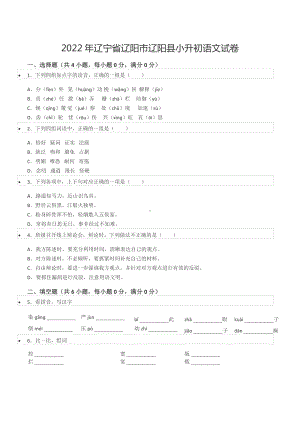 2022年辽宁省辽阳市辽阳县小升初语文试卷.docx