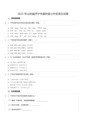 2021年山东省济宁市嘉祥县小升初语文试卷.docx