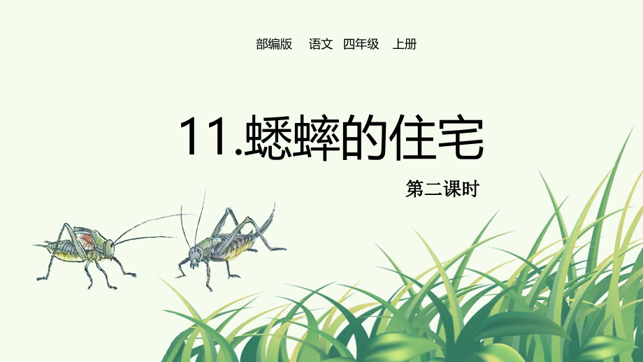 11.蟋蟀的住宅第二课时ppt课件+教案+课时练（共39张ppt）-（部编）统编版四年级上册《语文》.rar