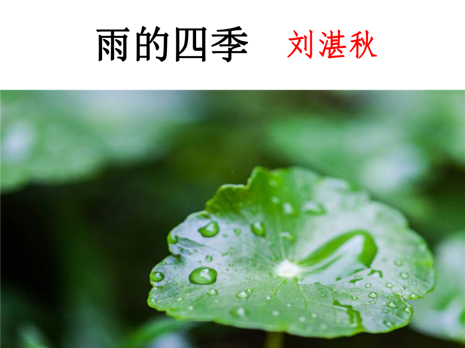 《雨的四季》公开课一等奖创新课件.pptx_第3页