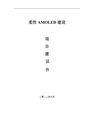 柔性AMOLED项目建议书（写作模板）.doc