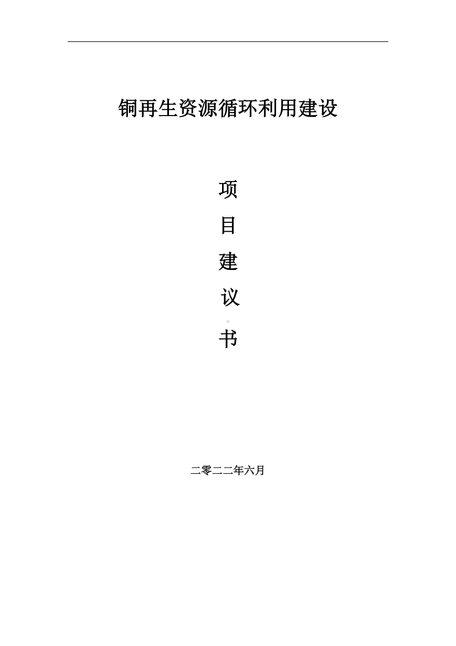 铜再生资源循环利用项目建议书（写作模板）.doc_第1页