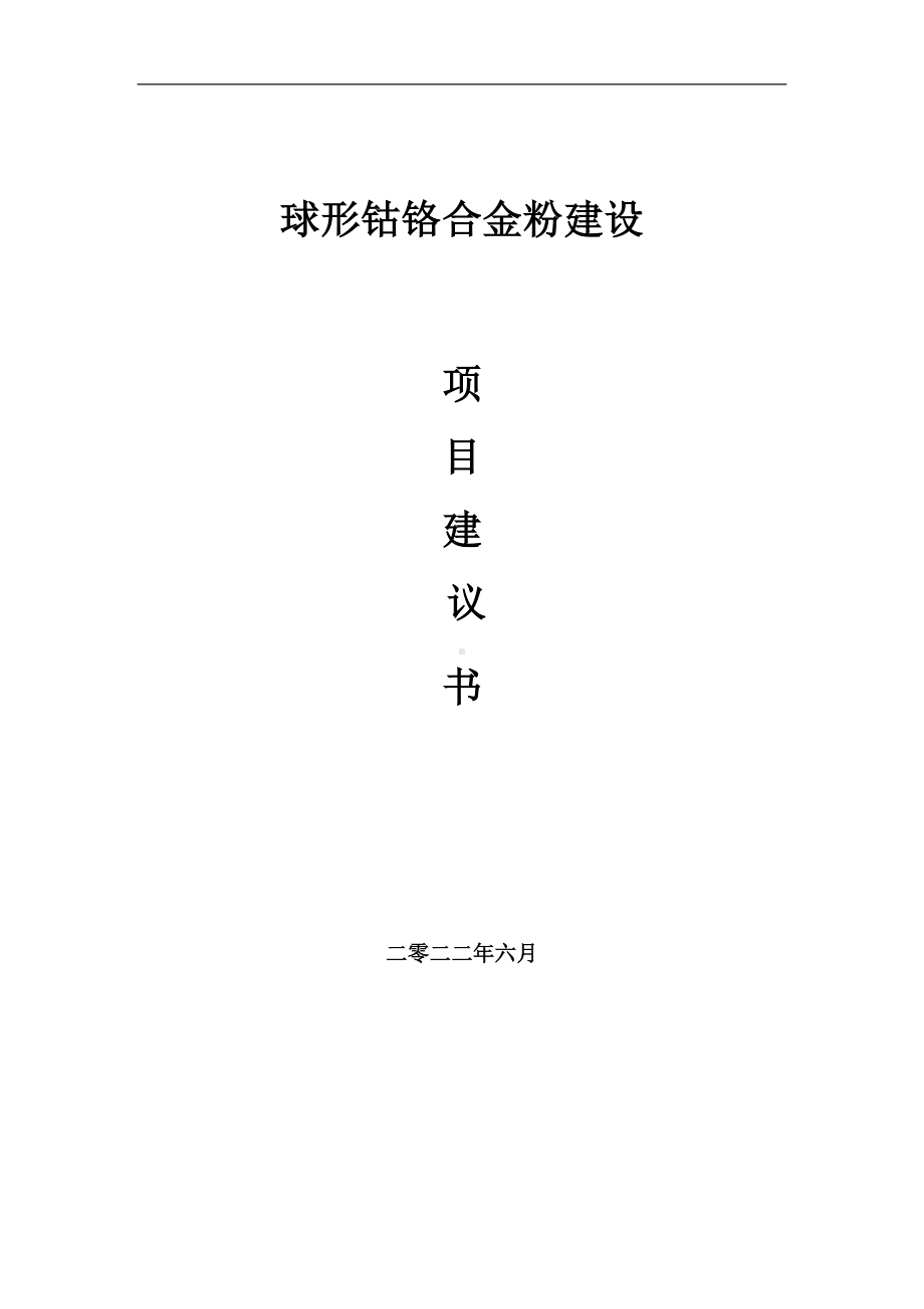 球形钴铬合金粉项目建议书（写作模板）.doc_第1页