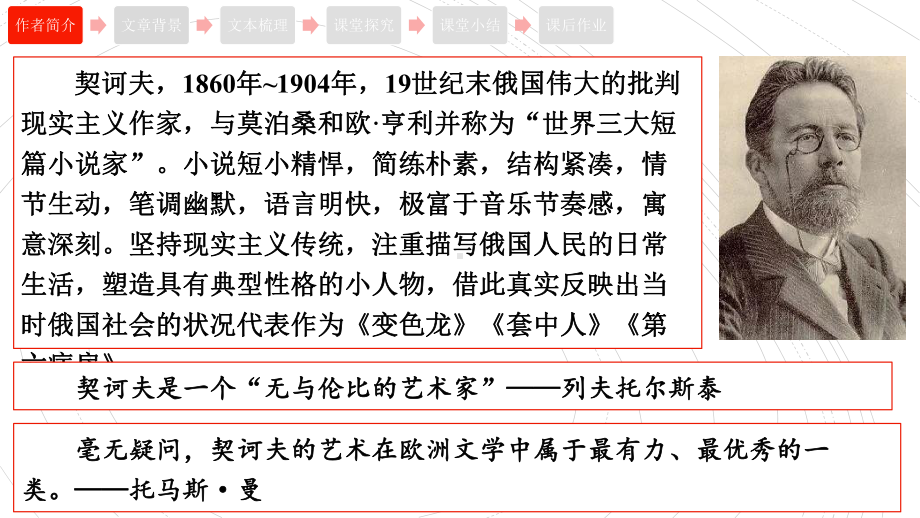 13.2《装在套子里的人》ppt课件19张 -统编版高中语文必修下册.pptx_第3页