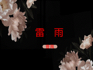 5.《雷雨（节选）》ppt课件31张 -统编版高中语文必修下册.pptx