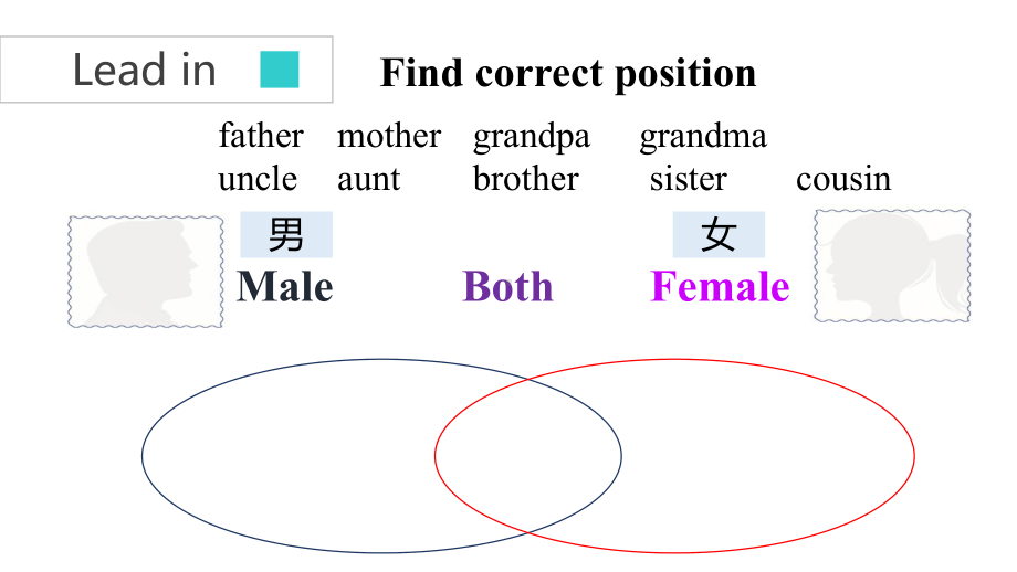 Unit 2 Section B(2a~2c)（课件）人教版英语七年级上册.pptx_第3页