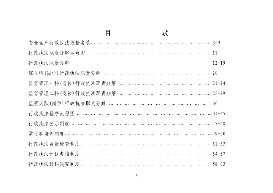 安全生产监督管理局行政执法责任制参考模板范本.doc_第1页